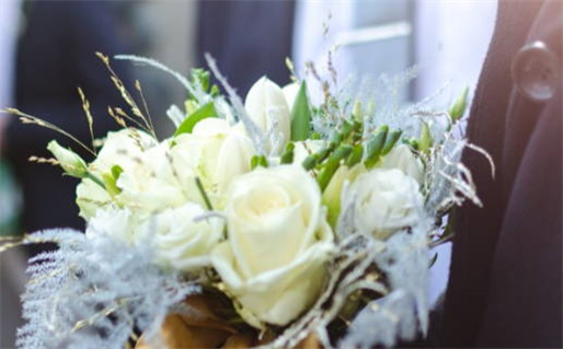 朴字解构木与卜的哲学意蕴