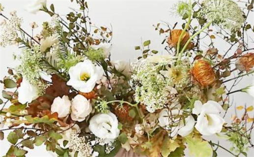 属虎和属猪_属虎和属猪的婚姻相配吗