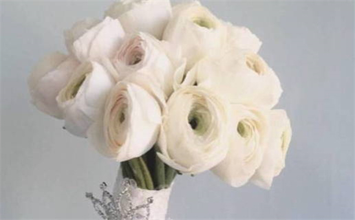 今日忌讳色(今日宜忌颜色)