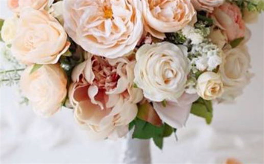 今日穿搭运势(今日穿搭运势查询)