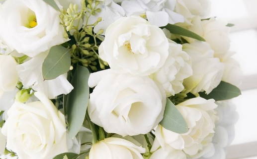 三月四号出生星座双鱼座