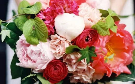 马和狗属相合不合_马和狗属相合不合婚姻