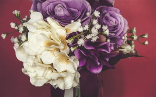 属猪是哪一年(属猪是哪一年出生的)