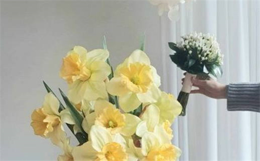 财神爷边上放桃花宜忌指南