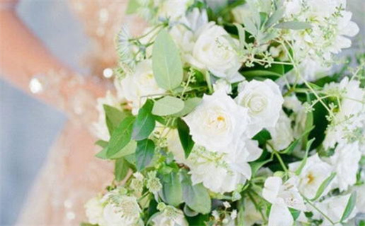 星座命理(星座命理查询)