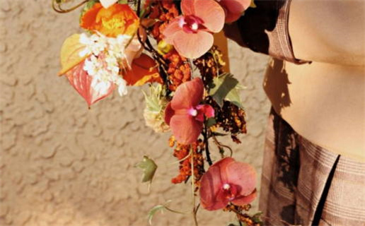 虎和什么属相最配(虎和什么属相最配婚姻最好)