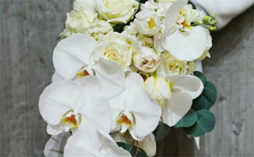 6月9日什么星座_2000年6月9日什么星座