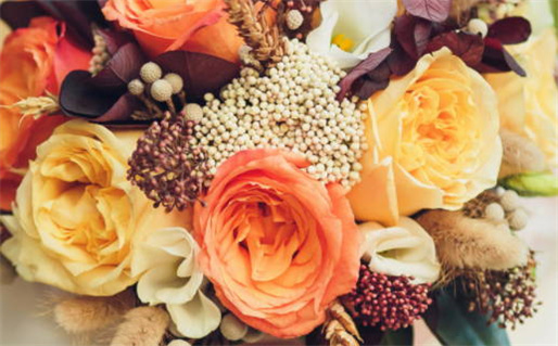 今日五行穿衣_今日五行穿衣每日指南