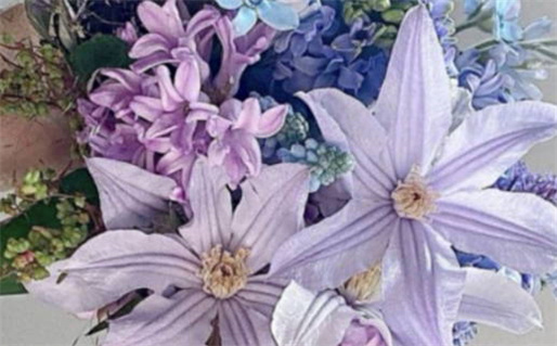 卜灵探索智慧生活新方式