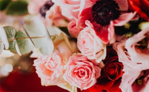 属马人运势解析与性格指南